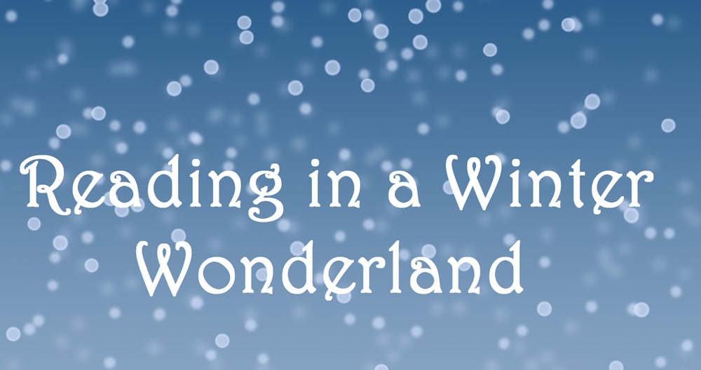 1700603718-Reading-in-a-winter-wonderland
