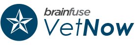 logo_vetNow